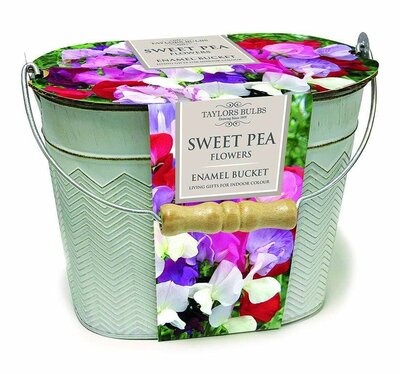 SWEETPEA PLANTER