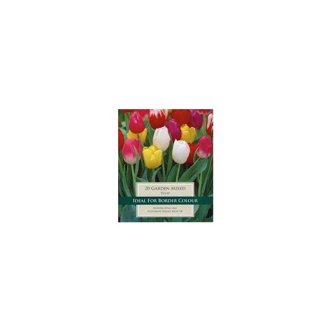 TULIP GARDEN MIXED VALUE BAG