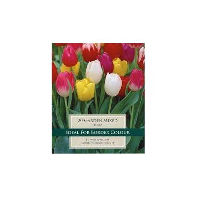 TULIP GARDEN MIXED VALUE BAG