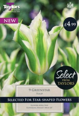 TULIP GREENSTAR SEL 11-12