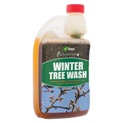 Winter Tree Wash